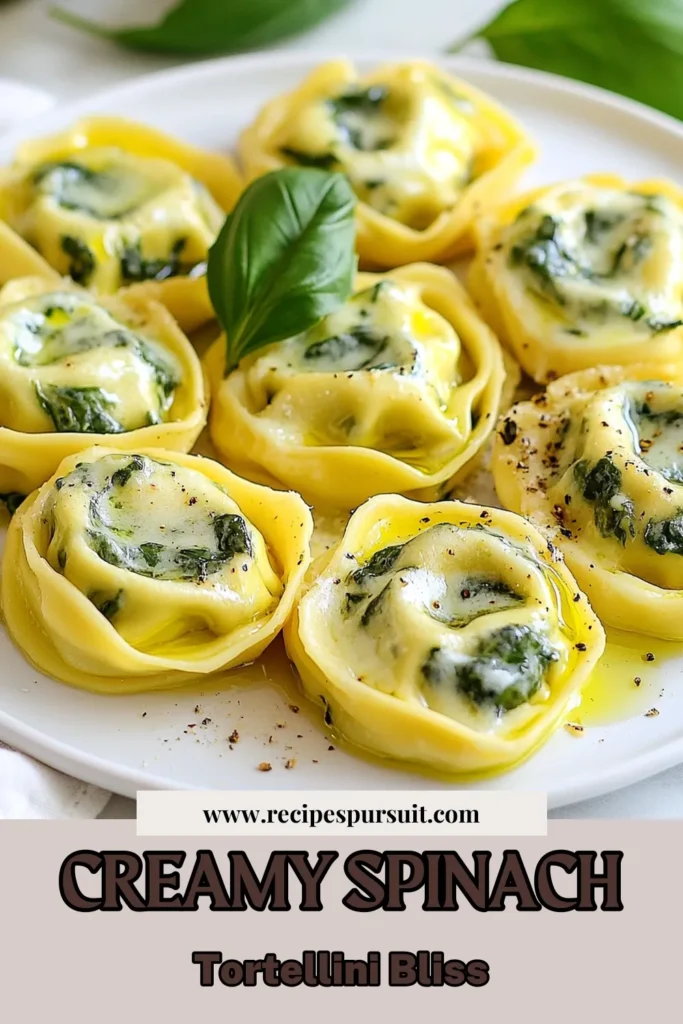 Discover the ultimate comfort food with this Creamy Spinach Stuffed Tortellini recipe! Perfect for a quick meal, this easy tortellini dinner is packed with ricotta cheese and fresh spinach, making it a delicious vegetarian pasta dish. Learn how to make these delightful Spinach Ricotta Tortellini effortlessly at home. Save this recipe for a tasty weeknight treat! #CreamySpinachTortellini #StuffedTortelliniRecipe #EasyTortelliniDinner #VegetarianPastaDish